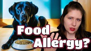 Food Allergy Elimination: A Vet's Comprehensive Guide