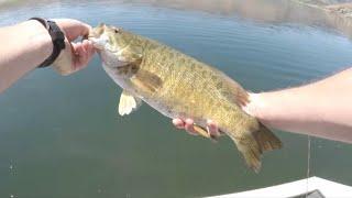 Bed Fishing Smallmouth Bass and Knocking Them Dead