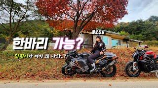 오토바이를 타게된 이유 | 이담향 바이크입문 | BMWG310R & HAYABUSA