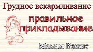 Правильное прикладывание к груди ребенка. Грудное вскармливание