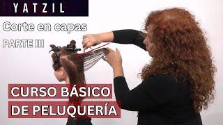 ️ PASO A PASO de corte de cabello en capas - Curso de peluquería. Tutorial para principiantes