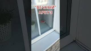 Бутафория или нет?!