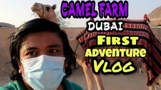 DUBAI: CAMEL FARM | First Adventure Vlog | Philippines memories tv.