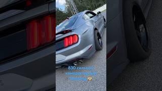 Ford Mustang 830hp Launch #dragrace #launch #mustang