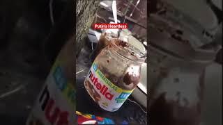 #Russian marauders in a #Ukrainian home. “Nutella, huh? The live good…” #looters #нетвойне #shorts