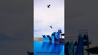 Dekha h kbhi esa mahol  #trending #shortvideos #shortvideo #shorts #youtubeshorts #ytshorts