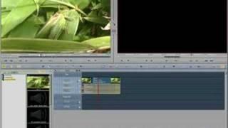 Editing & Interface Basics Avid Liquid Tutorial (Part 1/2)