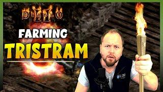 Coooley Farms Tristram with Uber Smiter | Diablo 2 Smite Build