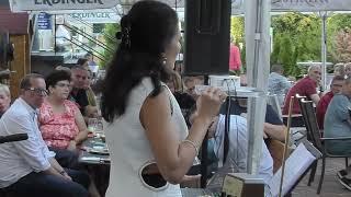 O mio babbino caro (live fragment) - theremin - Anca Bold Martin