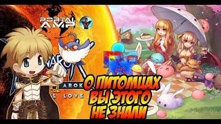 [Ragnarok M Eternal Love] Шок! Про петов вы этого не знали! Полный гайд!