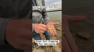 How to jig for river walleyes from shore