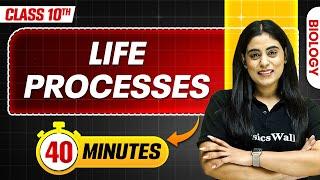 Life Processes in 40 Minutes || Mind Map Series for Class 10th