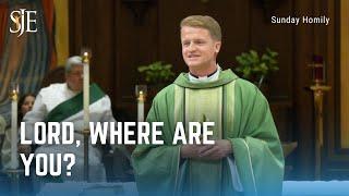 Sunday Homily | Lord, Where are you? | Fr. Declan McNicholas