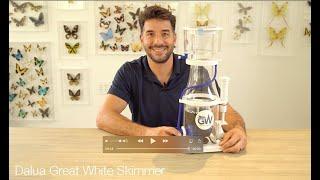 The Dalua Great White DC Protein Skimmer - GW 7