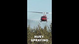Vietnam veteran helicopter spraying almond trees #shorts
