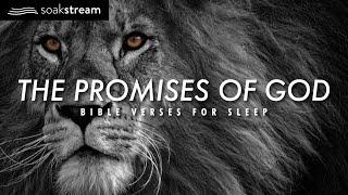 The Promises of God | Bible Verses For Sleep