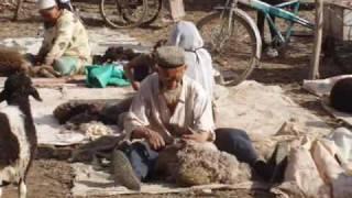 CAN ULKE CAN TURKiSTAN  (M.SABiR KARGER)