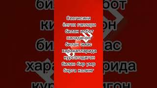 СЕВГИ