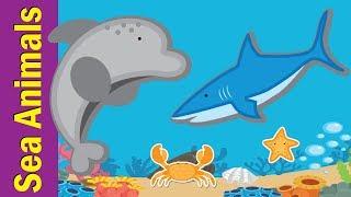 Learn Sea Animals & Water Animals for Kids | Video Flash Cards | Kindergarten | Fun Kids English