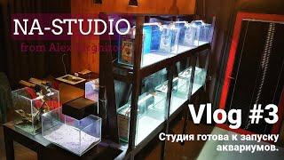 VLOG - Студия готова к запуску аквариумов / NA-STUDIO BOBRUISK