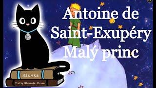 Antoine de Saint-Exupéry - Malý princ (Mluvené slovo SK)