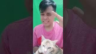 OMG  Dog Life in Danger || Boni Klic New Shorts  #shorts #tiktok