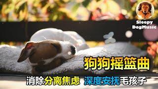 【狗狗也爱听音乐! 毛孩摇篮曲】10小时让狗狗深度放松的音乐小狗安眠音乐 宠物疗愈音乐    放松毛孩子的心情，降低焦虑和紧张情绪  放松你的狗狗  睡眠音乐 安抚放松你的狗狗