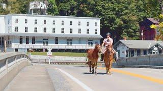 Riding My Horses to Town for Lunch