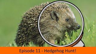 Character Alphabet Elimination - Season H, Episode 11 - Hedgehog Hunt!