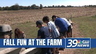 Todd Family Fun Farm celebrates 15 years of corn mazes, agriculture, more