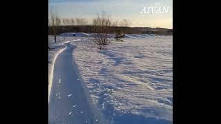 Задом наперёд на самодельном снегоходе - попробовали сесть и прокатиться!