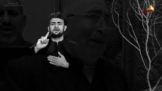 Ya Rab Saien | Zeeshan Haider | 2017 Noha | Zeeshan Haider Official