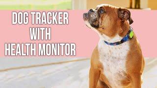 5 Best Dog Tracker With Health Monitor