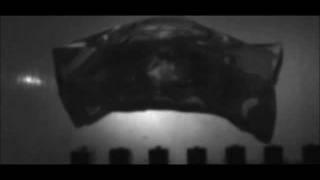 SLOW MOTION 308 Winchester Federal 150gr Fusion JSP impacting ballistic gelatin
