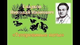 "Тетеревиные ноты" Николай Сладков