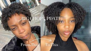 How I Grew My Hair After The Big Chop| One Year Post Big Chop| Type 4 Hair| HaZel A