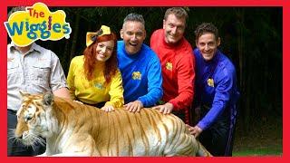 Animal Songs  Old MacDonald | Baa Baa Black Sheep | Nursery Rhymes for Kids  | The Wiggles