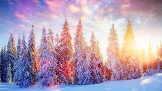 Winter Solstice Sleep Music ~ Ambient Piano Music for Deep Restorative Sleep [2 Hours]