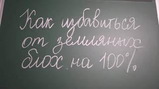 Как избавиться от земляных блох на 100 процентов. 27 июля 2021 г.