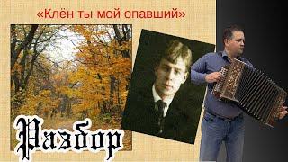 Клен, ты мой опавший // разбор на гармони и баяне по цифрам