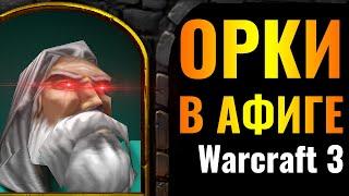 ОРКИ В ПАНИКЕ: ТОП-1 игрок за Паладина В МИРЕ против ОРДЫ в Warcraft 3 Reforged