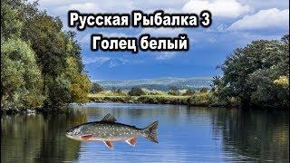 Русская рыбалка 3. Голец белый. Редкости