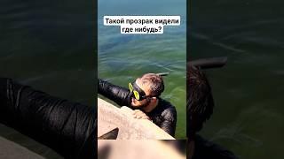 Прозрачность в Дагестане - сокровище подводной охоты! Рыбалка | Подводная охота