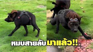 หมบสายลับ เคยเห็นมั้ยครับพี่ !! ( พากย์นรก )