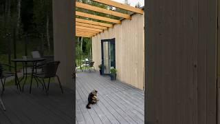 Строю минидом у леса! День 19️ #стройка #revit #проектдома #дизайн