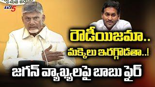 CM Chandrababu Strong Counter to YS Jagan Comments in Press Meet | YSRCP Leaders | TV5 News
