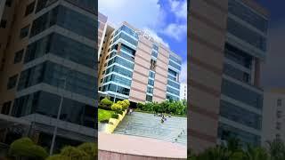 WFO‍Day-20/30 #javadeveloper #capgemini #2025 #office #officeday #1million#coffee #dev #9to5life