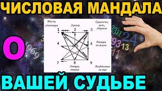 ЧИСЛОВАЯ МАНДАЛА О ВАШЕЙ СУДЬБЕ