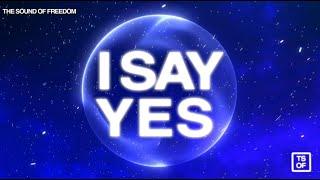 FCC - I Say Yes (Live)