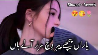 Yaaran Piche Pirh Vich Maran Aale Aan (Slowed + Reverb) یاراں  پیچھے  پیرِ  وِچ  مرنر  آلے  ہاں